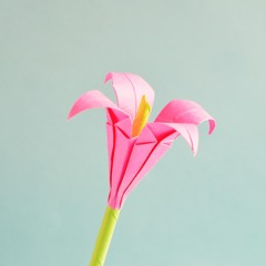 Like Origami