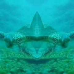 Dr.Fresh meeting MB Productions Dont Wanna Know Freek_Tosh_Jojo Trap Mix.