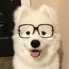 ที่รักครับ (Only one) - ATLAS cover