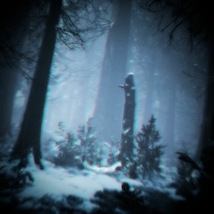 Snowy Forest