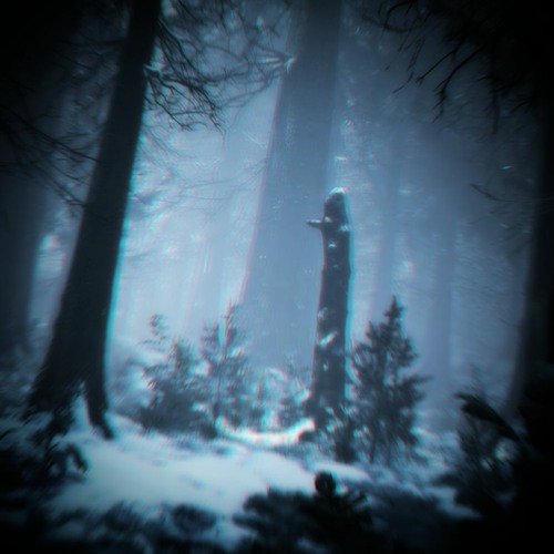 Snowy Forest