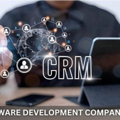 CRM Software Development Company In Delhi