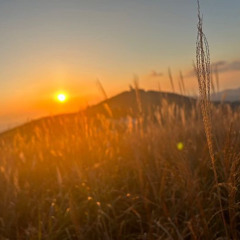 夕日チルmix