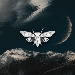 Proxxy (BR) - Acid Moon