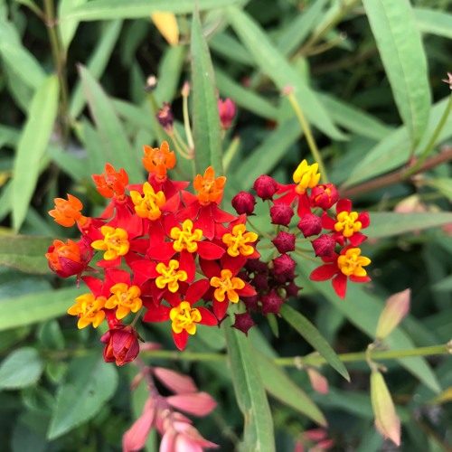 Finding Adventure, Nadejda From Chisinau, Moldova, December 22nd