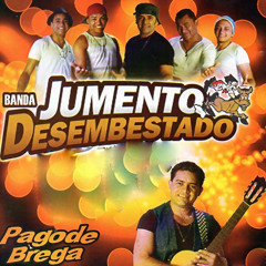 Diga Pra Mim