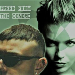 Freed From Cenere