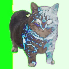PUSSYTEKK (Green Screen Cat Remix)