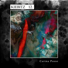 Kiebitz Podcast 12 - Carina Posse