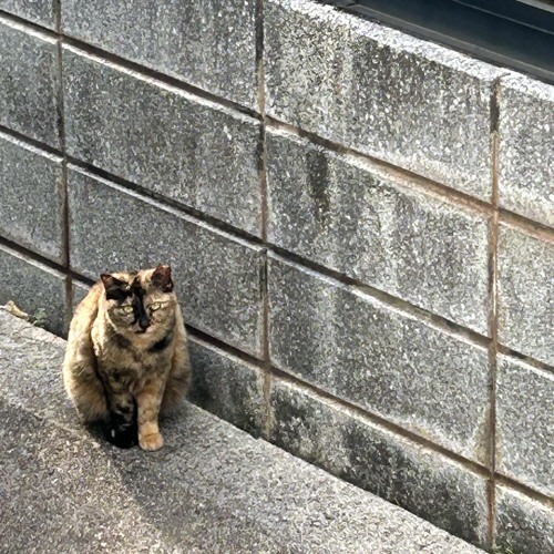 R.