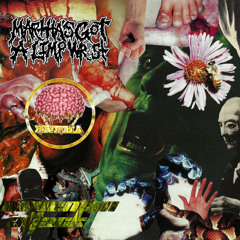 Saber Tooth Circle Pit