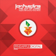 The Joy of Living (Original Mix)