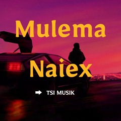 Mulema - Naiex