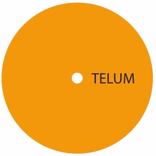 TELUM 011 - Unknown Artist - Untitled A1