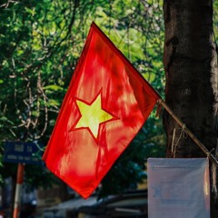 Em đi giữa biển vàng x Nấu ăn cho em | đen ft ngọc khánh chi