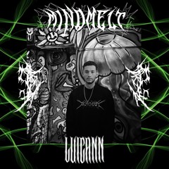 MindMelt x LUICANN