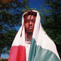 LONG LIVE MEXICO (PROD. SNOW! x PRXNCEALLEN)