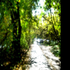 ツ︎。☃︎☃︎j3891dsa9x♛︎ dx ♛︎^ XX . 299 38 1 。。。