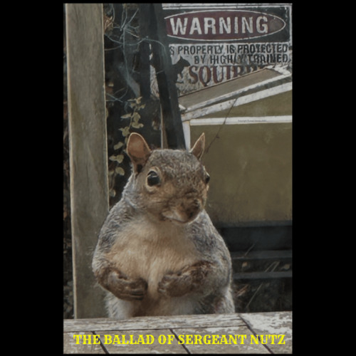 The Ballad of Sergeant Nutz The Hidden Verse Version