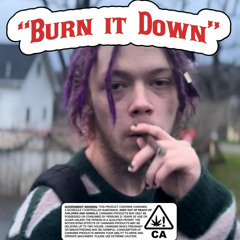 Burn it Down [prod. Hecto x WildDog]