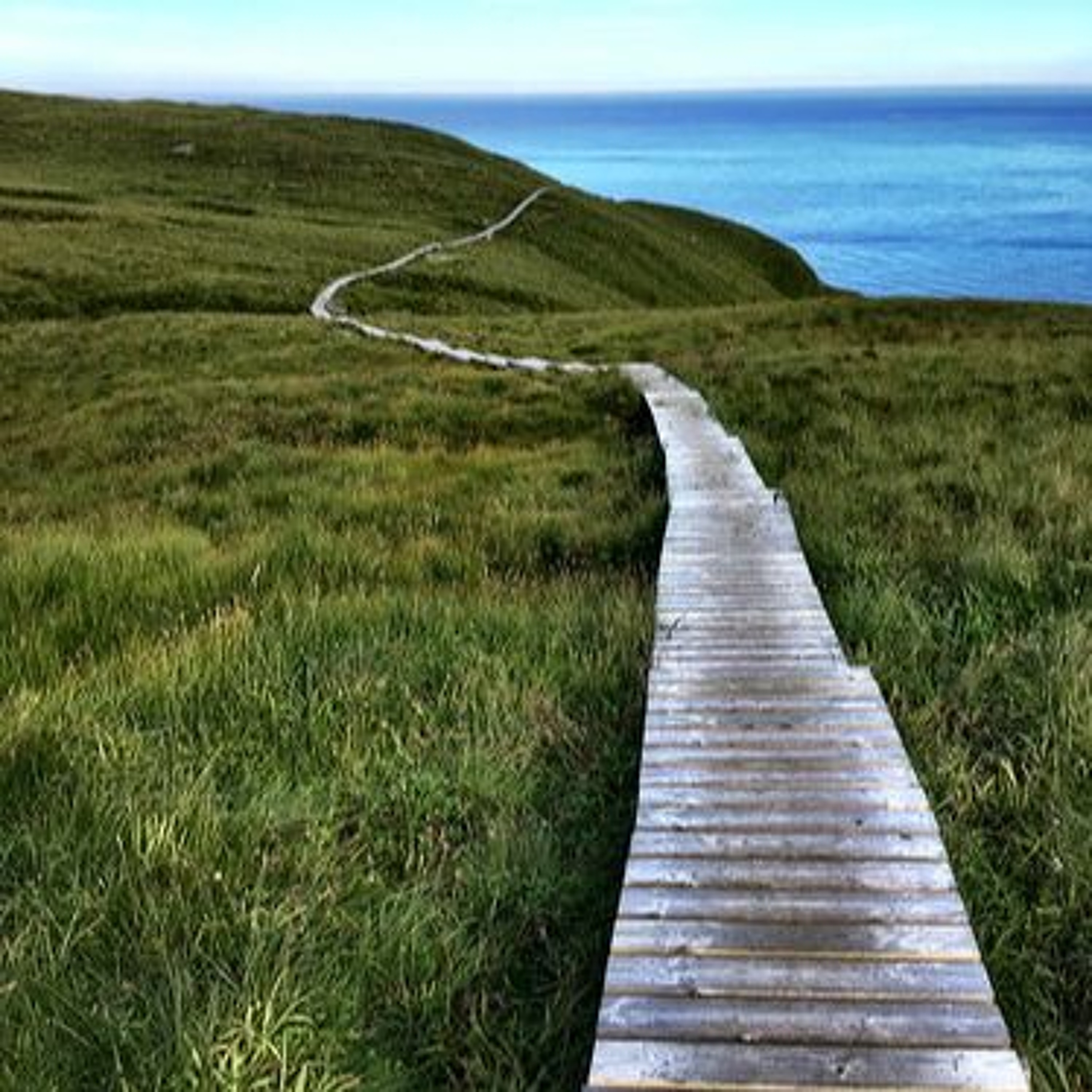 Sunday 23 April 2023 // The Narrow Path that Leads to Life