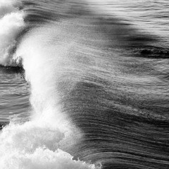 ONLY WE KNOW THE VIOLENCE IT TOOK TO BECOME THIS GENTLE