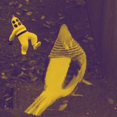 CUCES