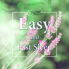 Peaceful Music (Rain Sounds for Sleeping)
