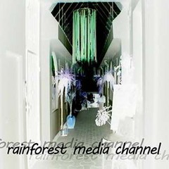 rainforest_media_channel_2010