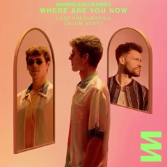 Lost Frequencies ft. Calum Scott - Where Are You Now (Barend Rauch Remix)