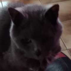 worst song ever-1.wav