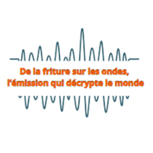 Interview François Saltiel