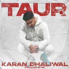 TAUR - KARAN DHALIWAL | SIGNATURE BY SB