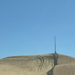 stands-tall