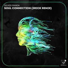 Silver Panda - Soul Connection (3RICK Remix)
