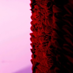 Red Fur Waving On The Wall