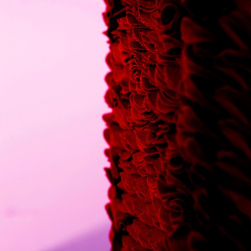Red Fur Waving On The Wall