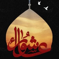 The beacon of light on the path to Karbala-8