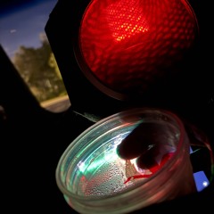 Young Explit - Astrology