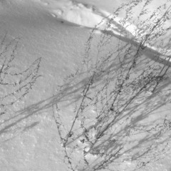 sunday sounds 61