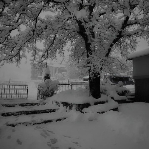 c lambo raxkz4 ~ lonely + r$x