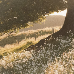 johnny test put you to the test