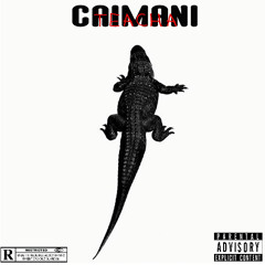 Teacha - Caimani (Official Audio)
