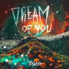 Dream Of You (Feat. AidaJae)
