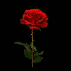 <3