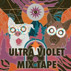 Ultra Violet Disco Forest Festival Set 2022