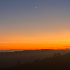 Cat Janice - Dance You Outta My Head (Walker Brooks Remix)