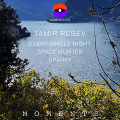 Premiere: Tamir Regev - Sparky [Moments]