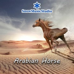 Arabian Horse