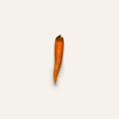 carrot🥺😉🥕